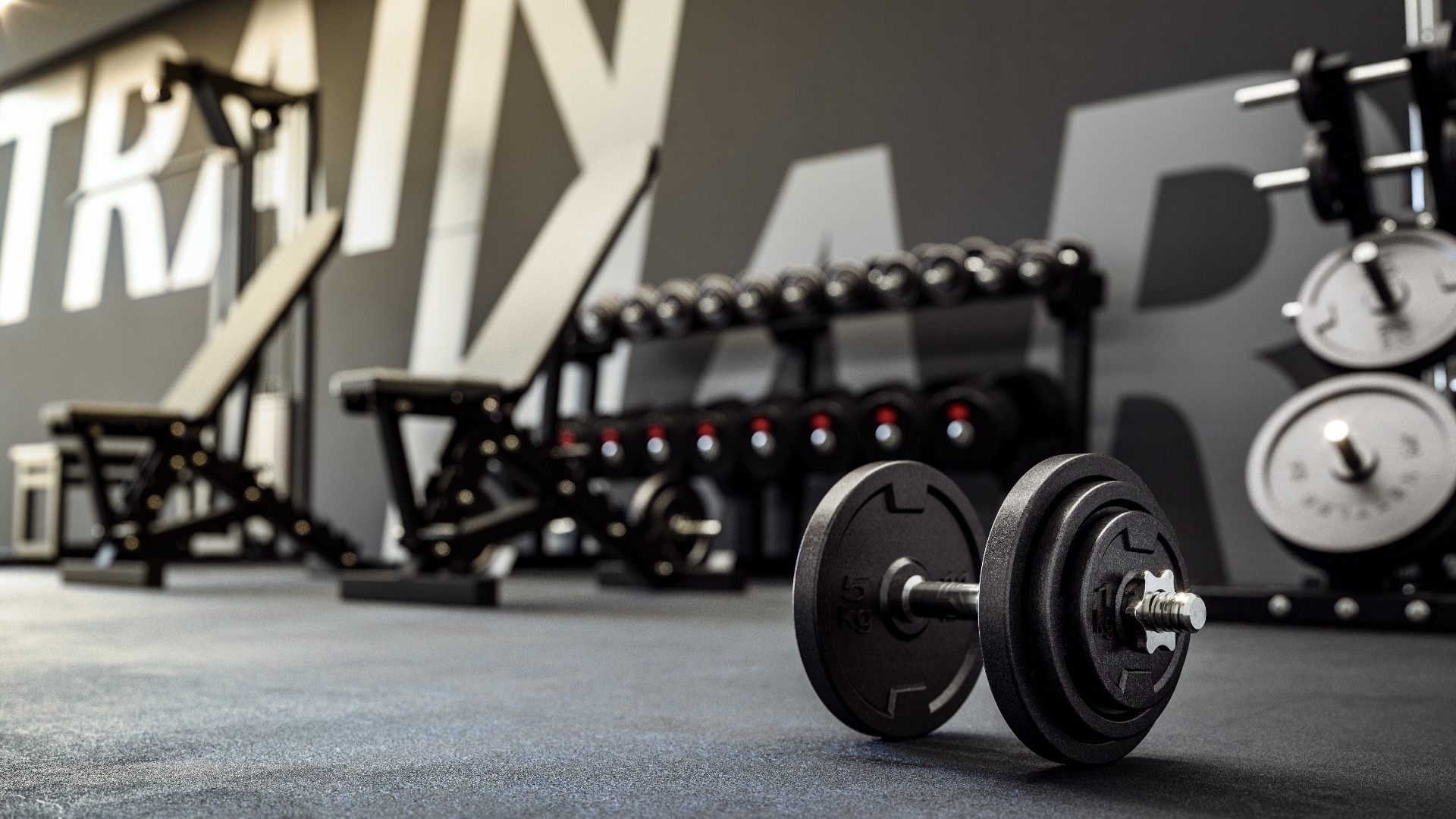 3D-Illustration von Hanteln und Fitnessgeräten